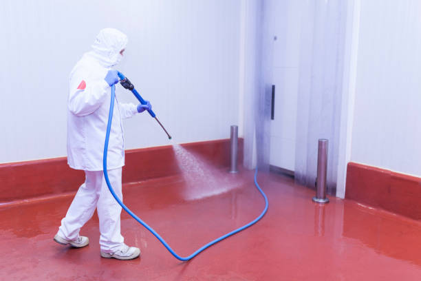 Best Winterizing Services  in Franklin, VA