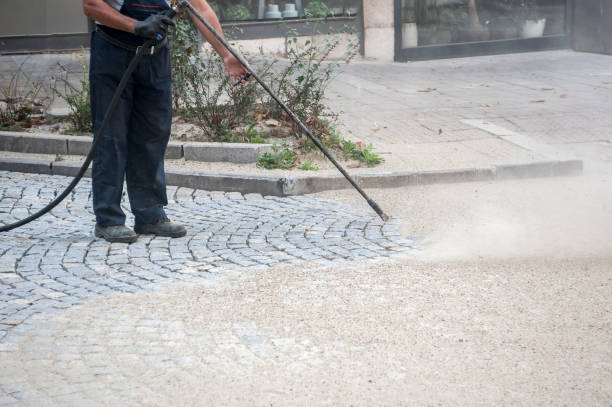 Best Gutter Cleaning  in Franklin, VA